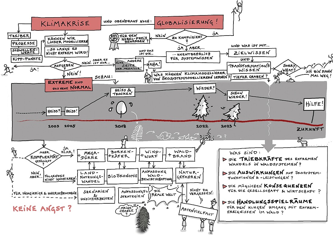 Die jungen Forschenden beschäftigten sich mit den Auswirkungen des Klimawandels auf die Wälder.