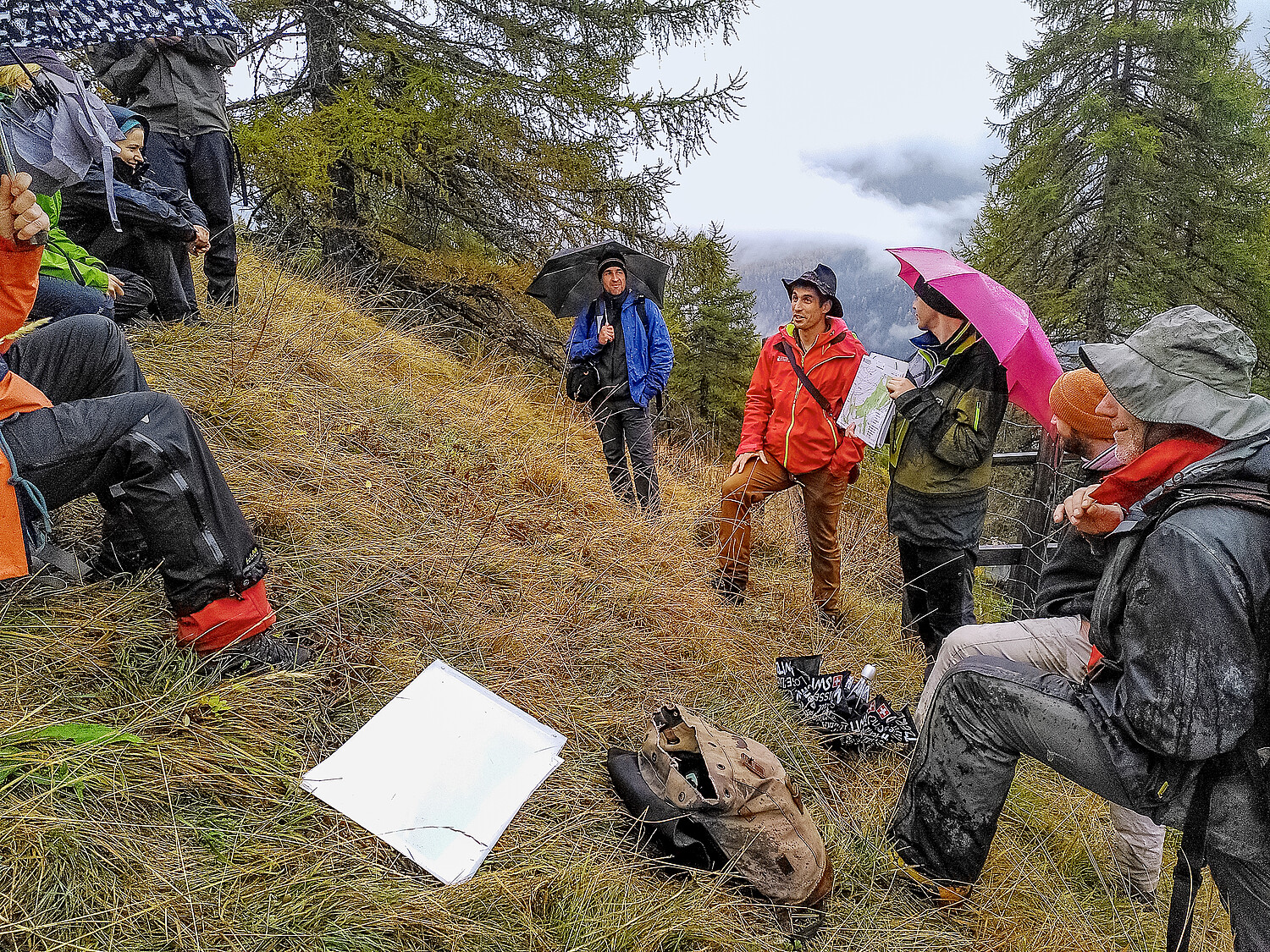 Zusammenspiel von vielen Faktoren und Handlungsmöglichkeiten zur Erhaltung der Schutzwaldwirkung bei hoher Wildhuftierdichte zeigt das Beispiel oberhalb von Scuol.