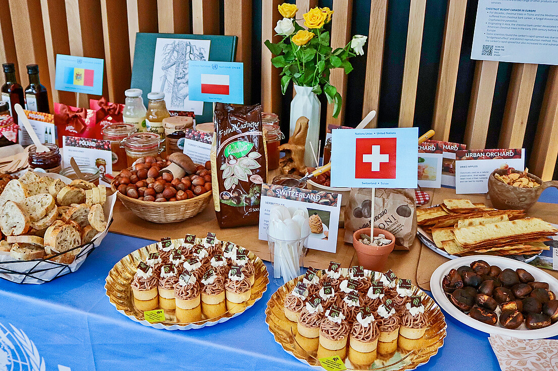 Die Schweiz verpflegte die Teilnehmenden des UNECE-Events in Genf mit Vermicelles und anderen Erzeugnissen der Kastanie.