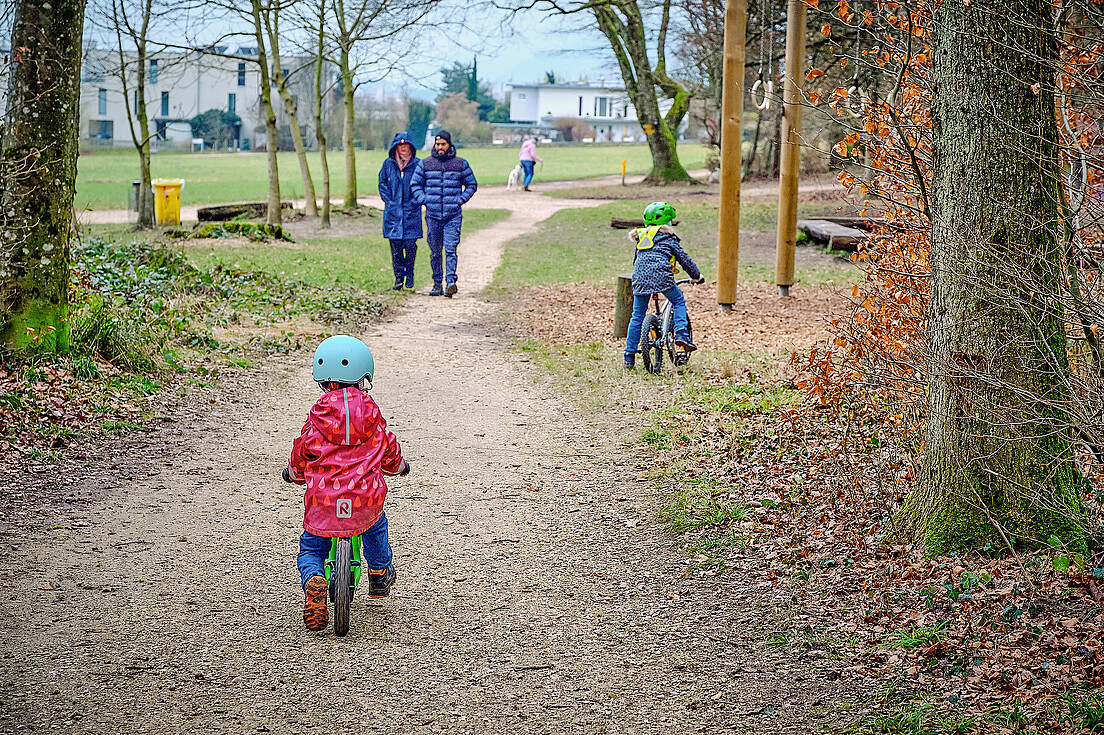 Im beliebten Erholungswald Längholz am Stadtrand von Biel stossen die Holzschlagpläne des Kantons auf Widerstand.