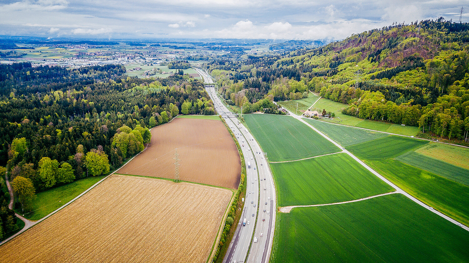 1383160535 Swiss grass plains
