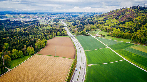Swiss grass plains