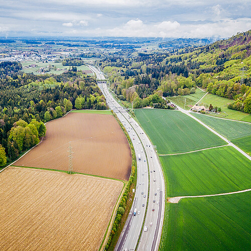 Swiss grass plains