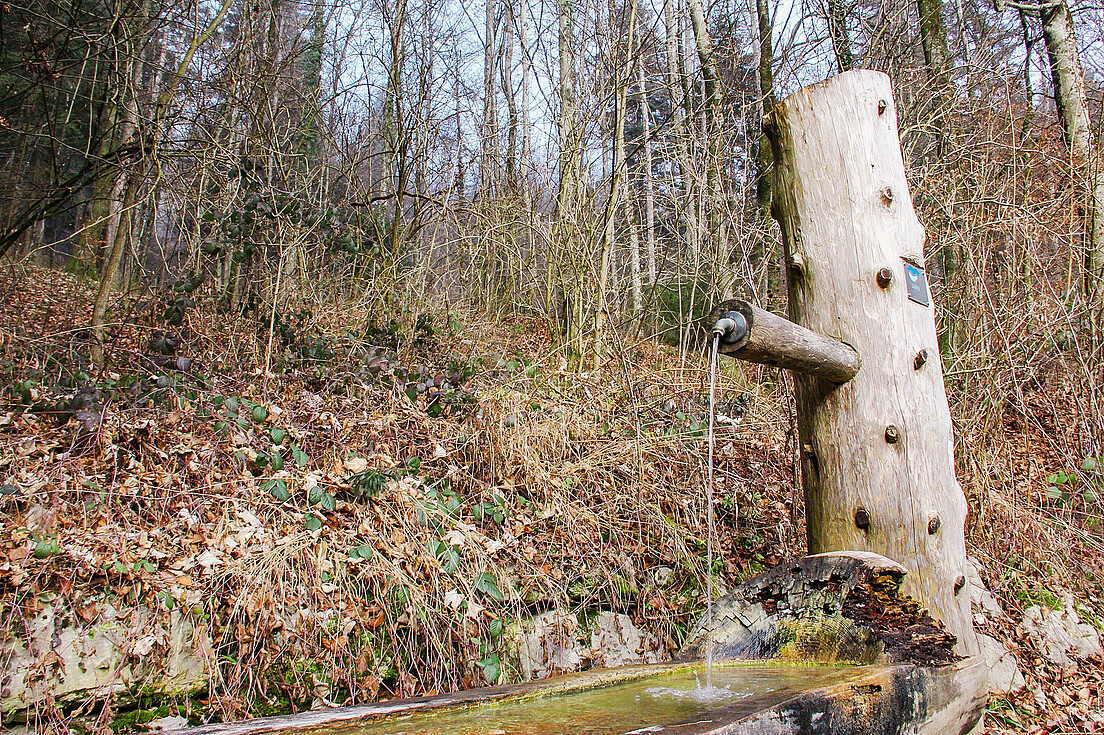 Abb 1 Brunnen im Wald unterhalb der LWF-Fläche an der Lägeren in Wettingen AG.