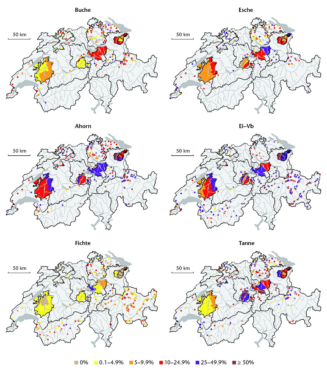 Abb 4 Verbissintensität pro Baumart je IF oder Region bei über den Kanton systematisch verteilten Stichproben (AI, AR, SZ, OW und FR). Häufige Arten sind mit Punkten dargestellt (≥ 30 Bäumchen in der IF und auf ≥ 5 Probeflächen beurteilt), und seltenere Arten mit Pluszeichen (d.h. 10 bis 29 Bäumchen oder ≥ 30 Bäumchen, aber in < 5 Probeflächen vorkommend). Falls die Art in der IF noch seltener war, wurde nichts gezeichnet. Die übrigen Arten sind nicht dargestellt. Die Farben repräsentieren VI-Stufen der Bäumchen zwischen 10 und 130 cm Baumhöhe. In der Teilgrafik «Ei-Vb» ist entweder die Eiche oder die Vogelbeere geplottet, ausser VD und FR (siehe Text und Tabelle 2). Die Punkte und Pluszeichen sind nicht im Massstab gezeichnet.