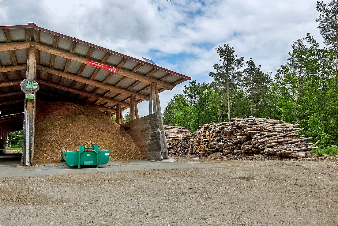 Abb 4 Die Bestrebungen des Bundes, die Wirtschaft zu dekarbonisieren, haben die materielle und energetische Nutzung der Ressource Holz in den Fokus gerückt.