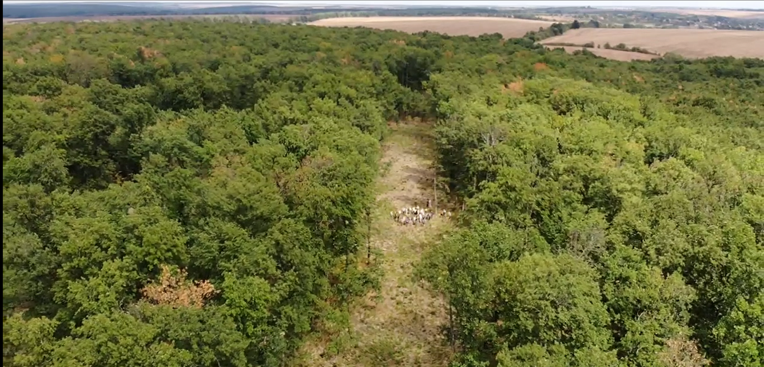 Überalterte Eichenniederwälder bei Voden-Iri Hisar (Nordostbulgarien) sollen umgewandelt werden, damit sie besser auf die Auswirkungen des Klimawandels reagieren können.