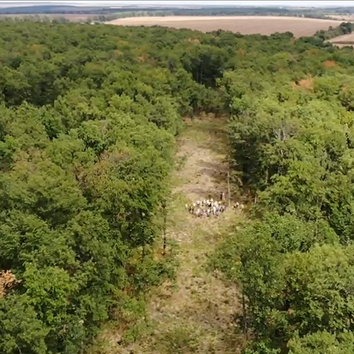 Überalterte Eichenniederwälder bei Voden-Iri Hisar (Nordostbulgarien) sollen umgewandelt werden, damit sie besser auf die Auswirkungen des Klimawandels reagieren können.