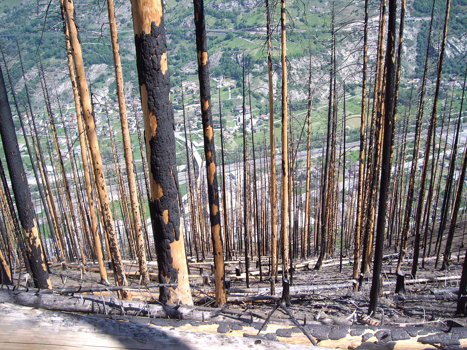 L’incendie de Viège de 2011