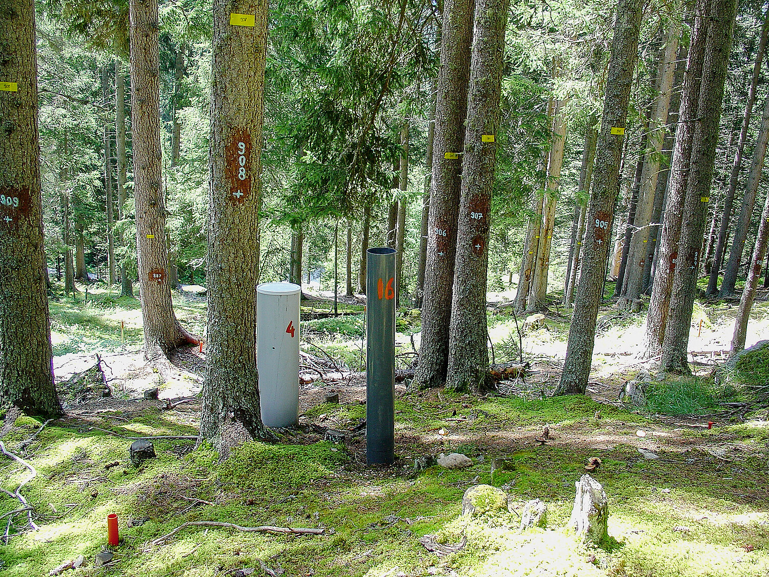 Fig. 1 LWF area in Davos with rain and snow collectors.