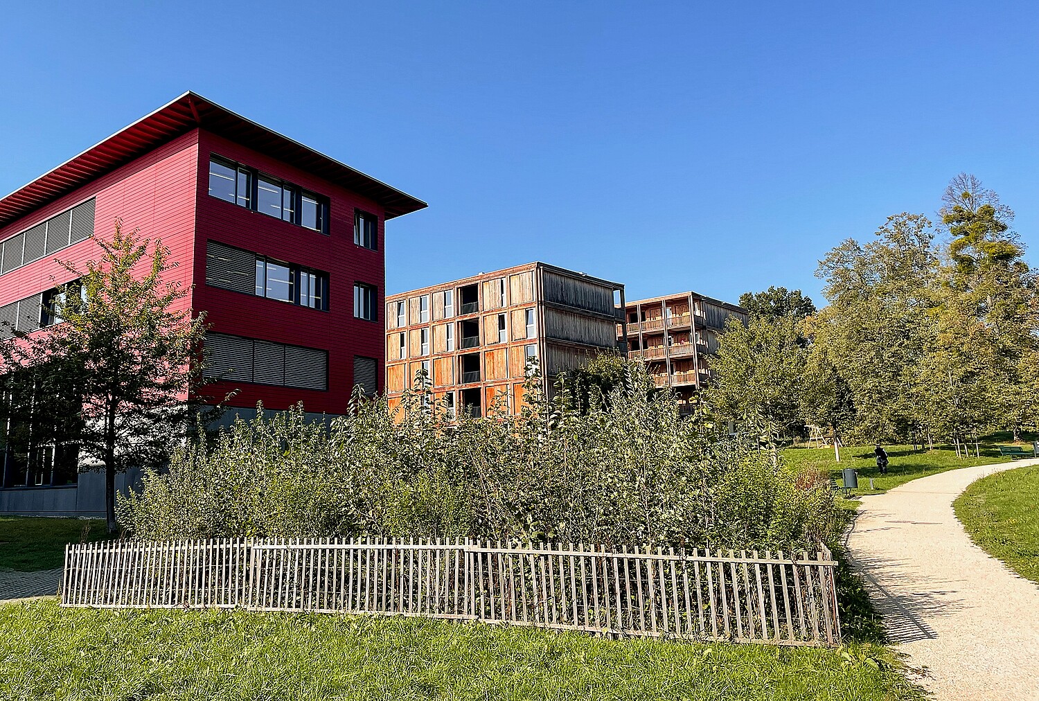 Abb 1 «Tiny forest» im Parc Rigot (GE).