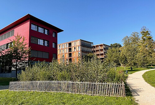 Abb 1 «Tiny forest» im Parc Rigot (GE).