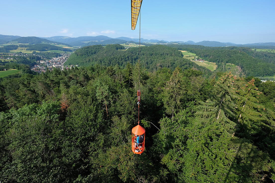 Messungen des Swiss Crane Projekts in Hölstein (BL) tragen zur Erforschung von grundlegenden Prozessen bei Trockenstress.