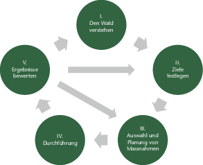 Abb 1 Planungskreislauf: Vom Systemverständnis über Erfolgsindikatoren zur Nachsteuerung
