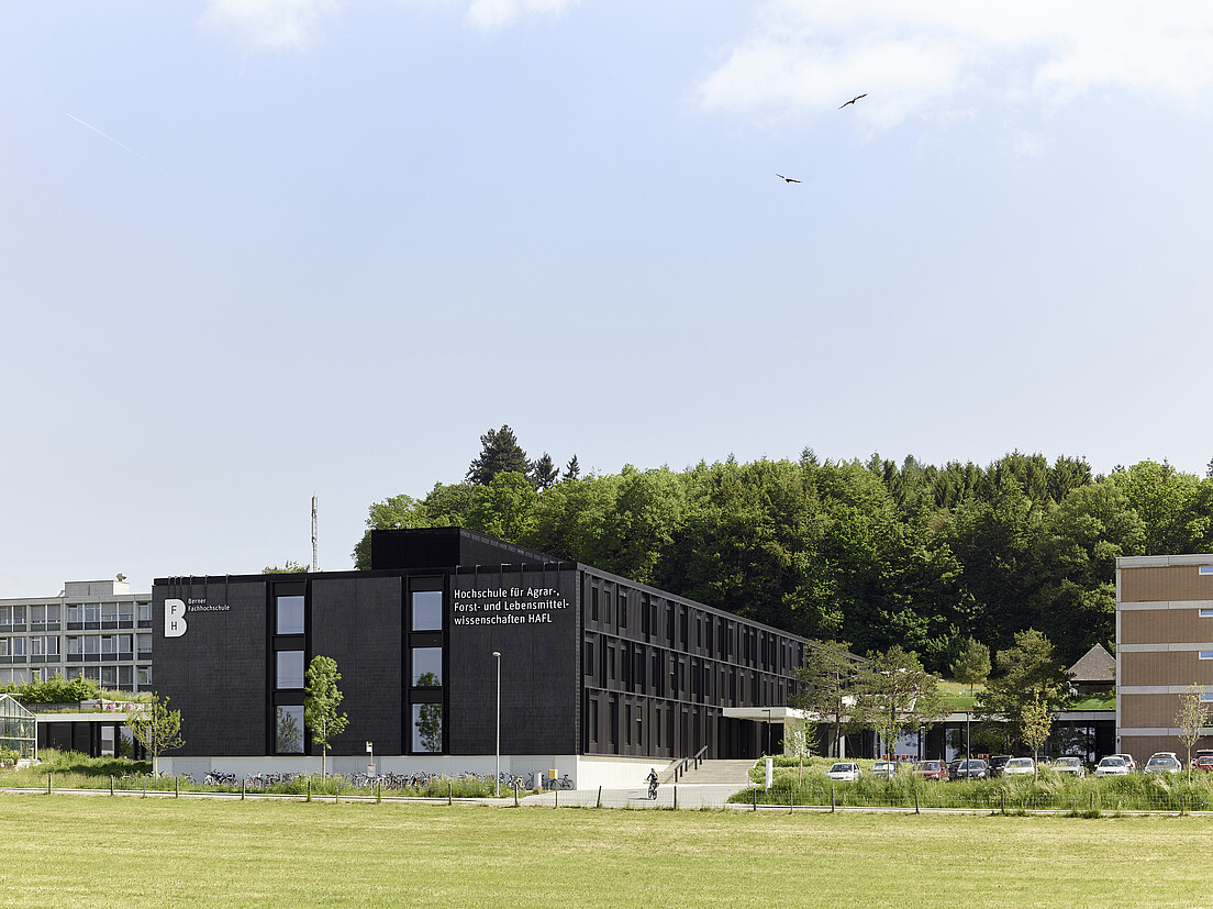 Abb 1 Lehre, Forschung und Praxis lagen für das Forstwirtschaftsstudium an der damaligen Schweizerischen Hochschule für Landwirtschaft (SHL) und heutigen Hochschule für Agrar-, Forst- und Lebensmittelwissenschaften (HAFL) immer nahe beieinander.