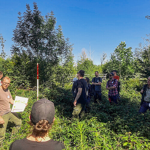 Wiederbewaldungsflächen nach einem Sommersturm 2017 wurden mit drei unterschiedlichen Anteilen Naturverjüngung wiederbewaldet.
