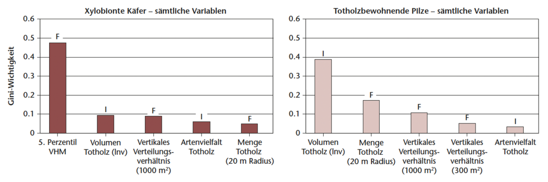 Abb 2 Ergebnisse der Feature-Importance-Analyse der Modelle mit sämtlichen Variablen (nur die jeweils 5 wichtigsten Variablen sind dargestellt). Die Gini-Wichtigkeit ist ein Mass für die Wichtigkeit der Variable im Modell. F = Fernerkundungsvariable; I = Inventurvariable; VHM = Vegetationshöhenmodell.
