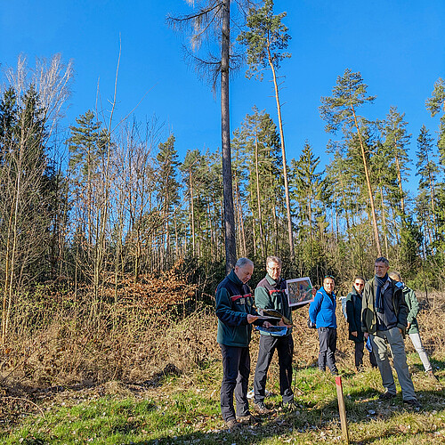 Klimabedingte Baumartenwechsel werfen nicht mehr Schatten voraus, sondern haben einen konkreten Einfluss auf die Regionalentwicklung.