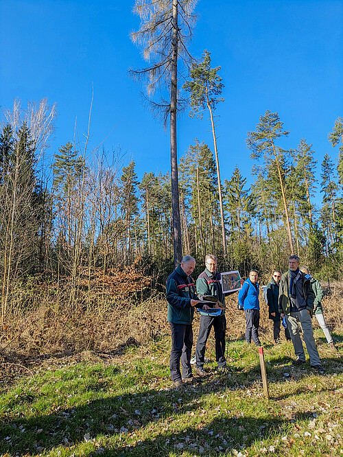Klimabedingte Baumartenwechsel werfen nicht mehr Schatten voraus, sondern haben einen konkreten Einfluss auf die Regionalentwicklung.