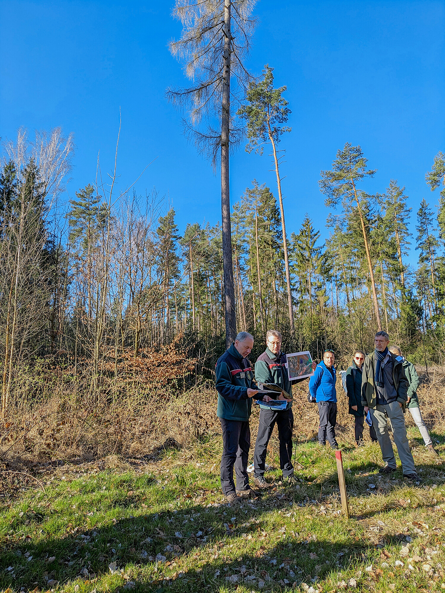 Klimabedingte Baumartenwechsel werfen nicht mehr Schatten voraus, sondern haben einen konkreten Einfluss auf die Regionalentwicklung.