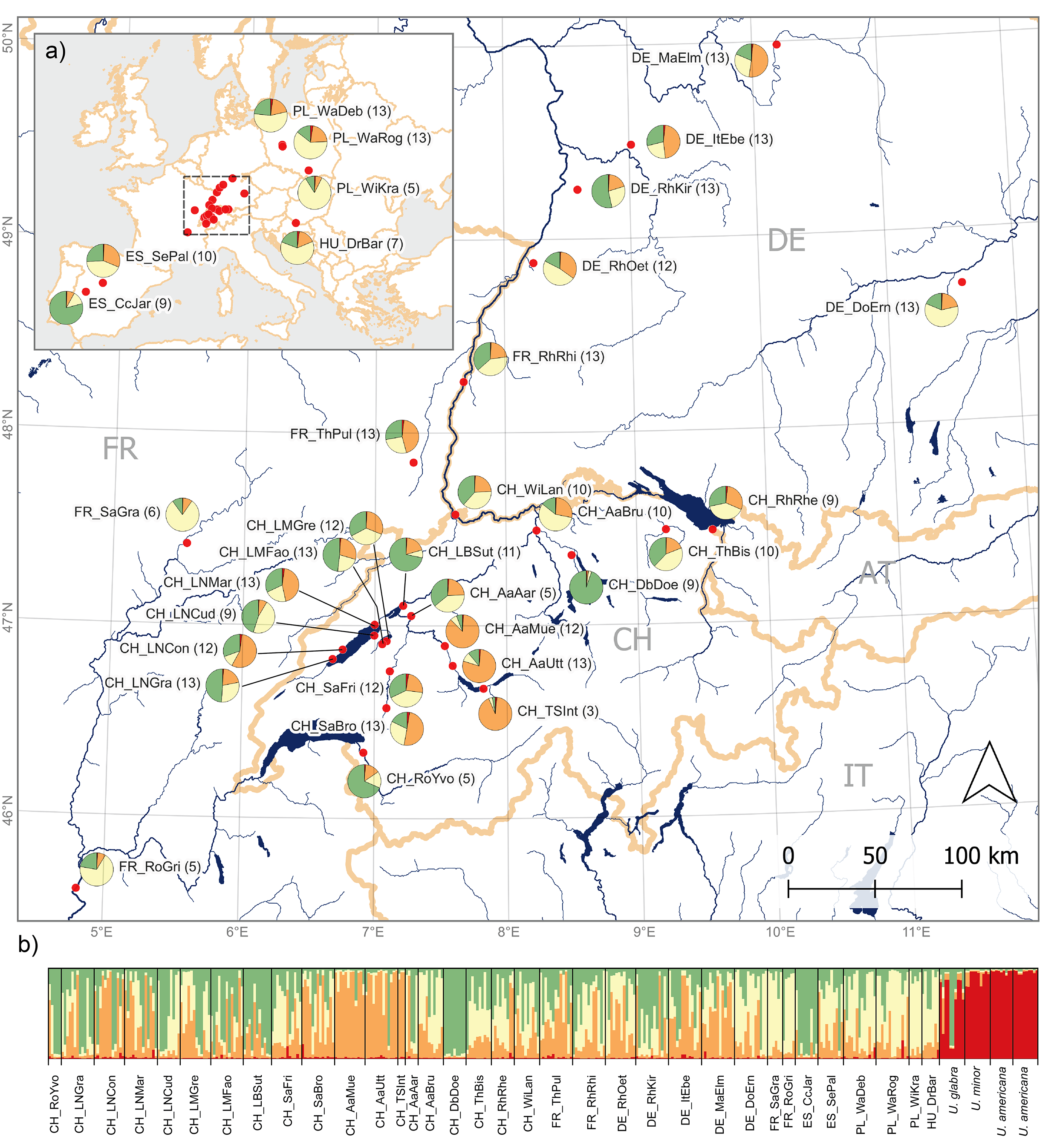 Fig. 5 Structure génétique de l’orme lisse en Suisse et en Europe. Chaque station échantillonnée est représentée sous forme d’un camembert sur la carte (a) et d’un barplot (b), où chaque barre représente un seul individu. Quatre clusters génétiques sont considérés (k=4). Le nombre d’individus échantillonnés dans chaque station est indiqué entre parenthèses. Adapté de Dermelj et al (2024).
