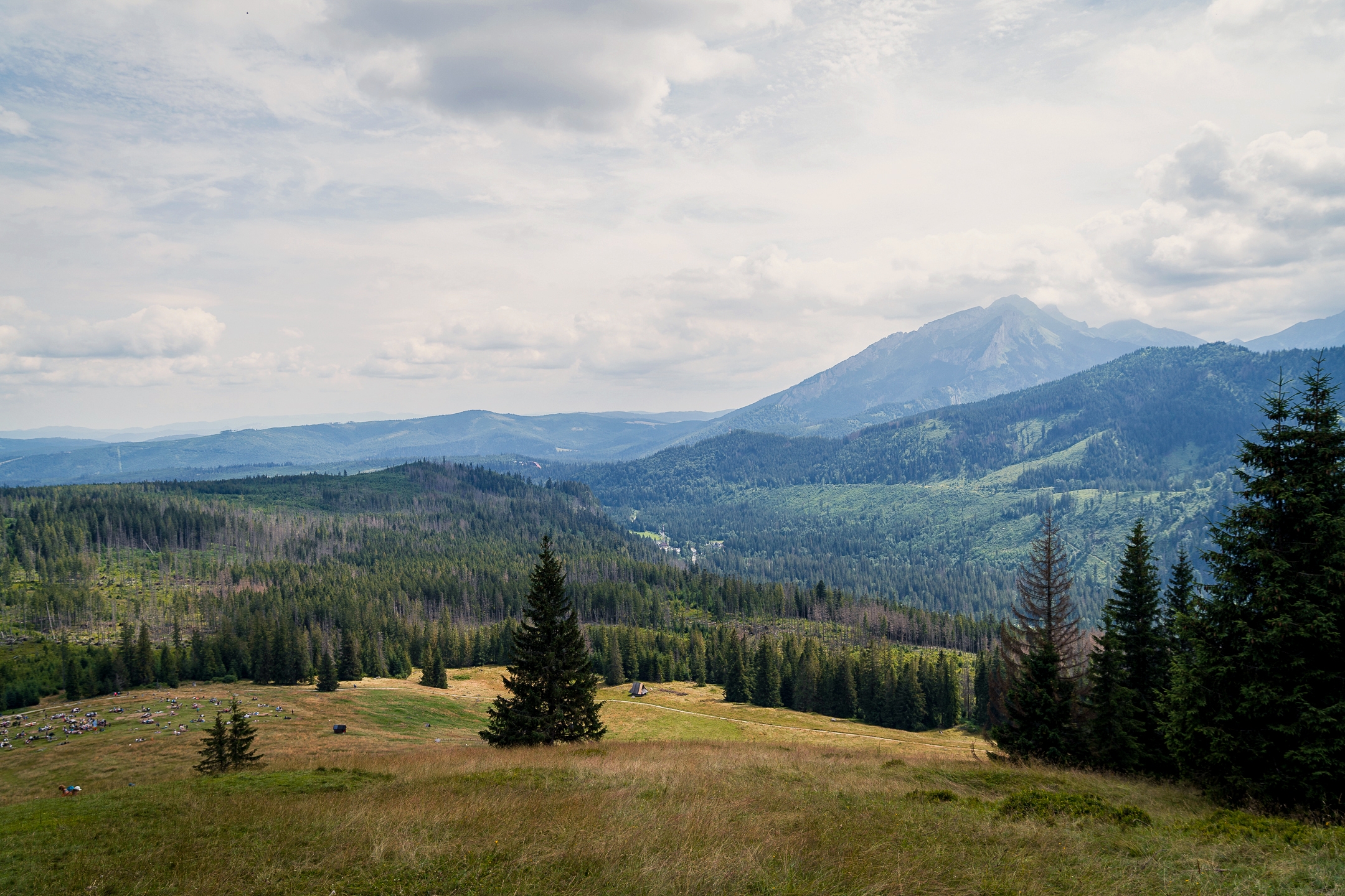 Abb 2 Die Waldpflege kann trotz räumlicher Nähe grosse Unterschiede aufweisen: Die Wälder der Hohen Tatra sind rund 700 km von der Schweizer Grenze entfernt.
