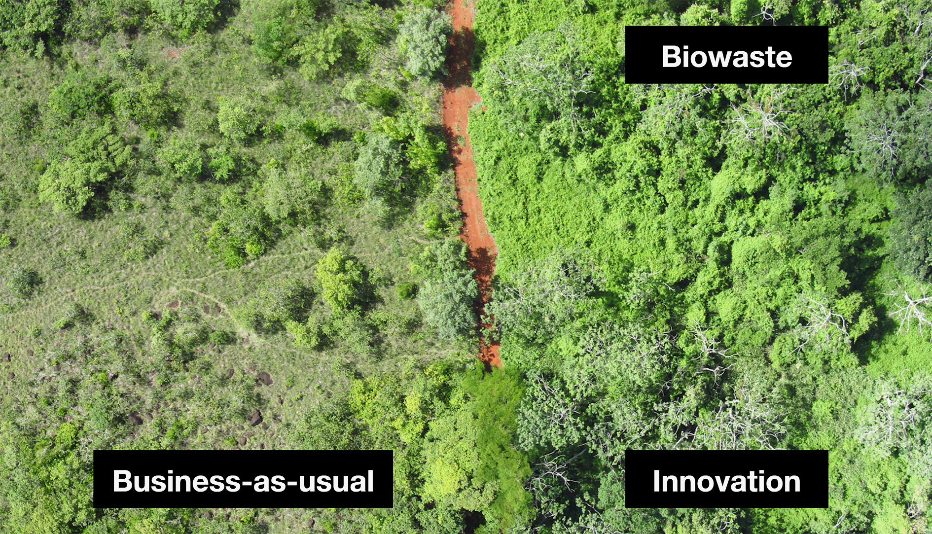 Abb 1 Die Zugabe von 1000 Lkw-Ladungen Orangenschalen (rechts) hat die Regeneration einer 3 ha grossen Fläche im Vergleich mit einem herkömmlichen Ansatz zur natürlichen Regeneration in Guanacaste (Costa Rica) beschleunigt.