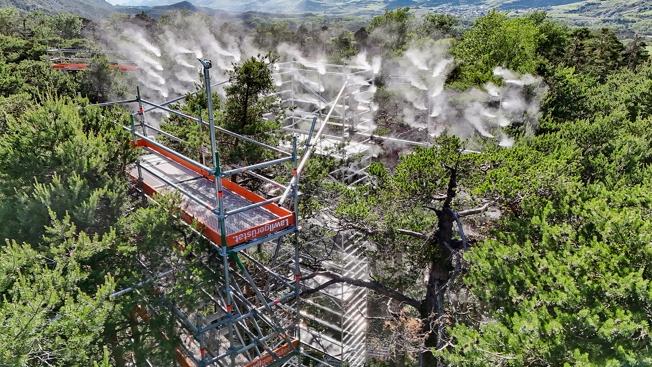 Seit 2024 werden im Pfynwald auch die Effekte der Lufttrockenheit (Dampfdruckdefizit) experimentell erforscht.