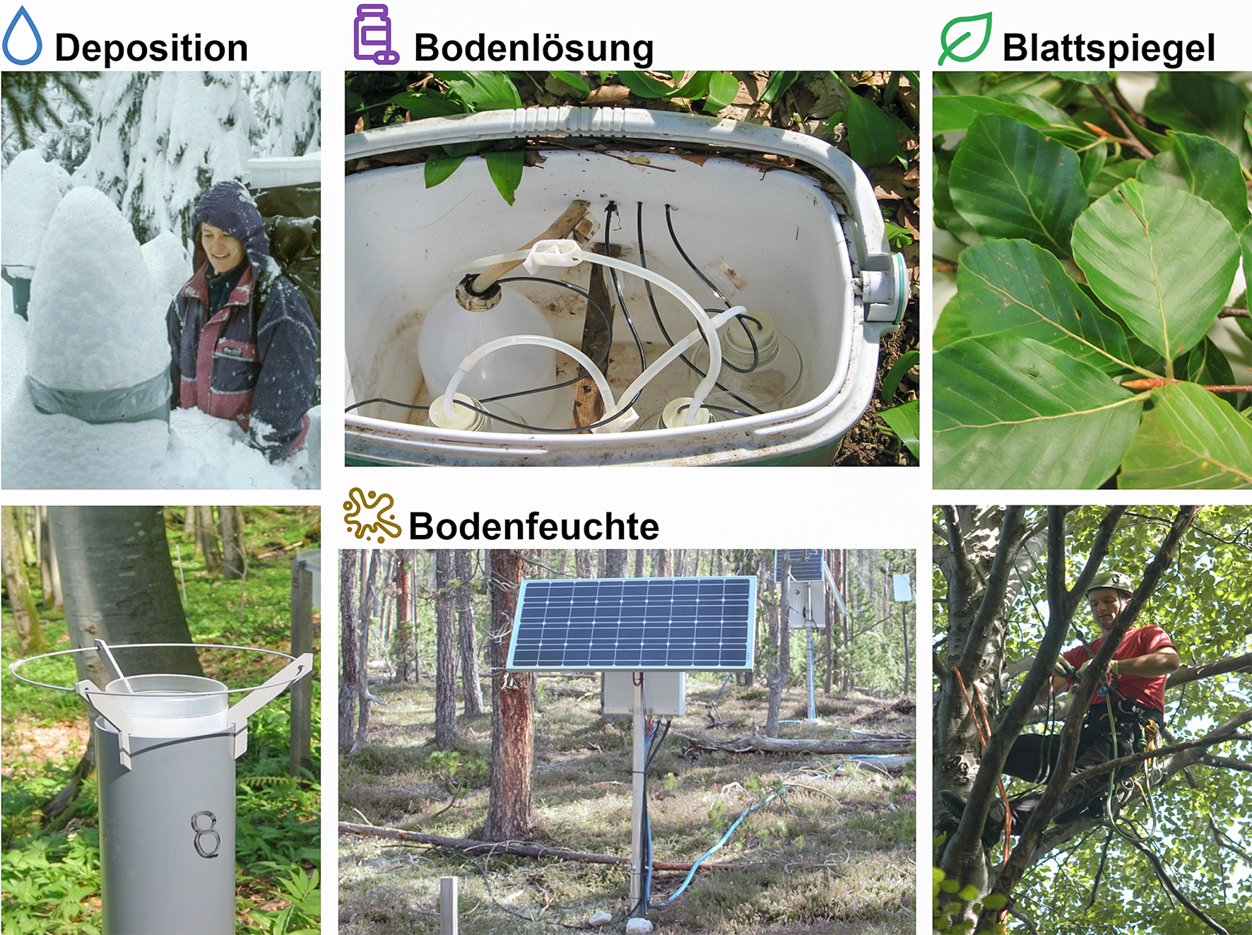 Abb 2 Sammlung der Depositions-, Bodenlösungs- und Blattproben auf den LWF-Flächen. Die Bodenfeuchte, die benötigt wird, um Wasserflüsse im Ökosystem zu simulieren, wird kontinuierlich gemessen und aufgezeichnet.