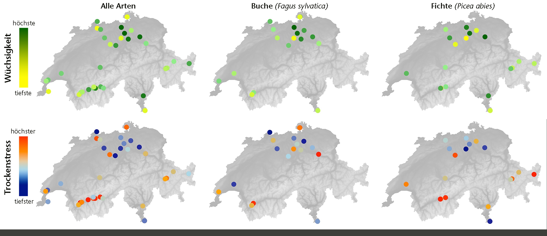 Abb 4 Wüchsigkeit (oben) und Trockenstressindex (unten) für die untersuchten TreeNet-Standorte. Dargestellt ist das Resultat unter Einbezug aller Arten und separat für Buche und Fichte. Datengrundlage: GRO und TWD_norm; Messreihen zwischen 3 und 25 Jahre.