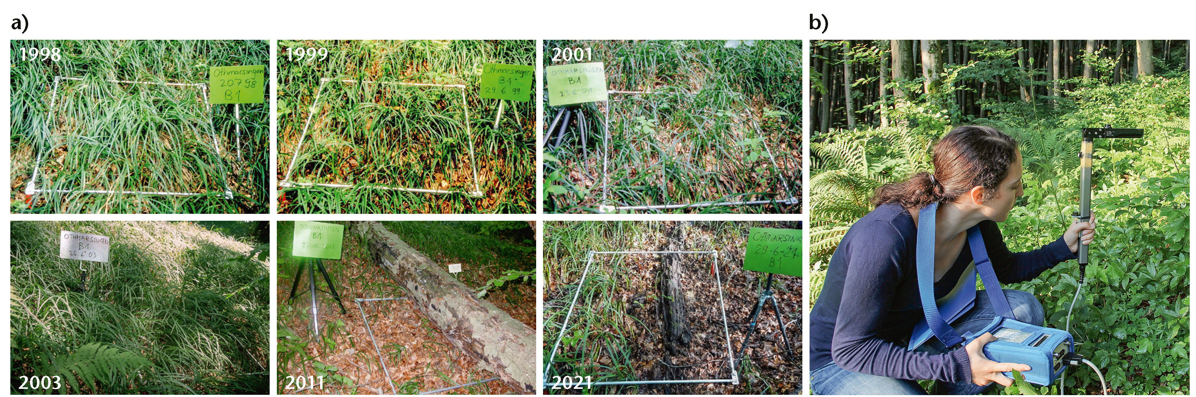 Fig. 1 a) Carré de végétation B1 à Othmarsingen photographié lors des relevés de 1998 à 2021. b) Mesure de l’indice de surface foliaire (LAI) avec le Licor LAI 2000 à Schänis (2011).
