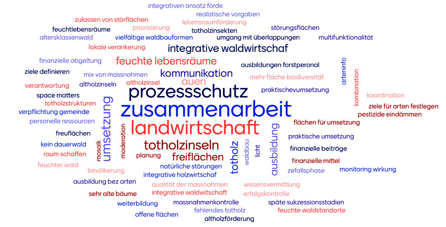 Die Resultate einer Mentimeter-Umfrage in Chur zeigen, wo das Publikum den grössten Handlungsbedarf für Lebensraumaufwertungen im Wald sieht.