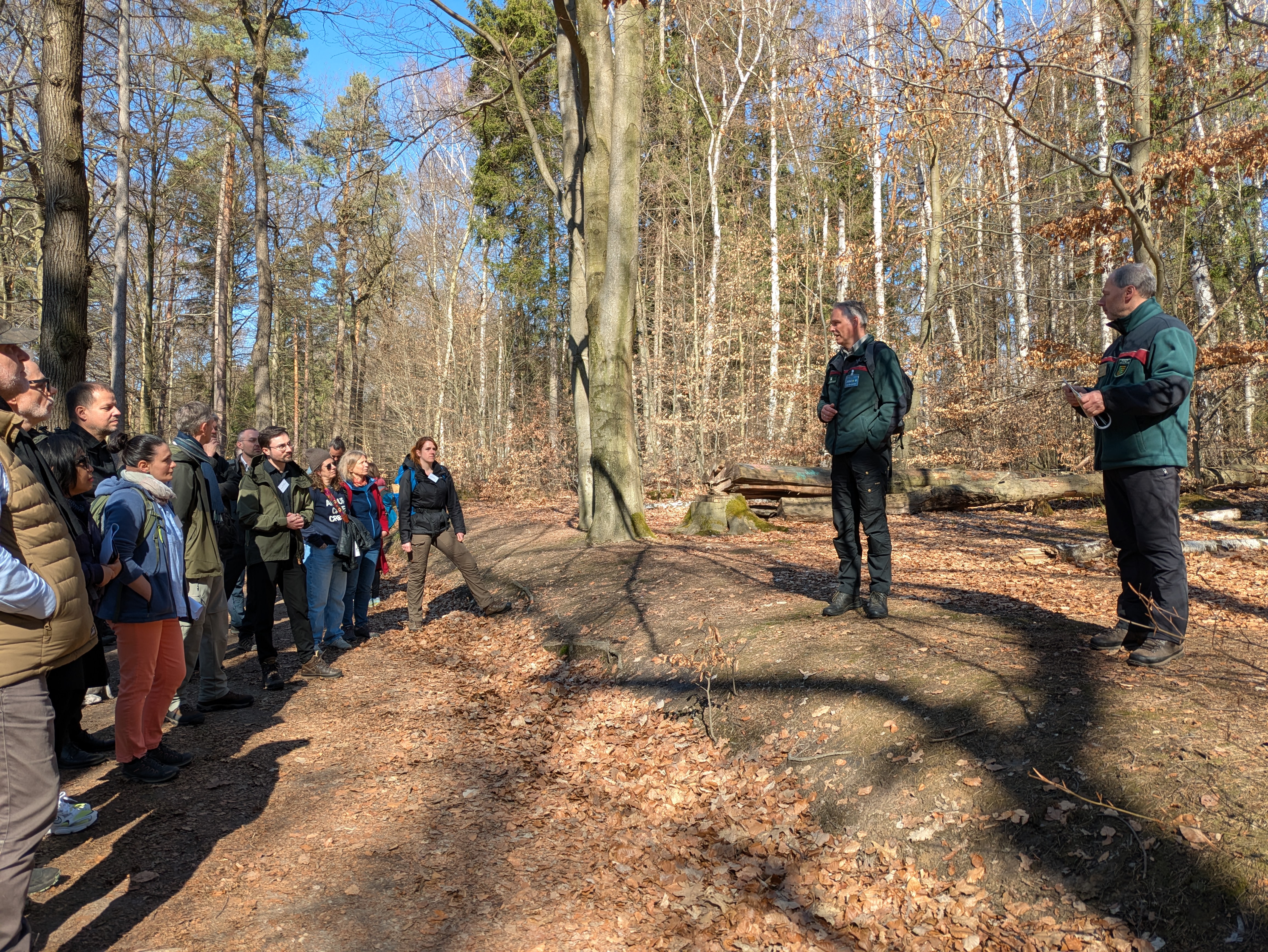 «Beyond Spruce» und die Frage, was nach der Fichte kommt, waren Thema der Exkursion im Nationalpark Sächsische Schweiz.